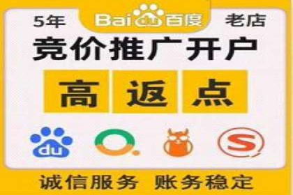 百度竞价排名之成功案例：看广告如何转化为销量
